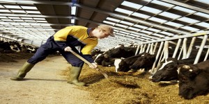 Αύξηση της ενίσχυσης των κτηνοτρόφων κατά 550 χιλ. ευρώ στα μικρά νησιά