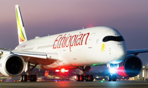 Συντριβή αεροσκάφους στην Αιθιοπία: Δεν ανασύρθηκαν ανθρώπινες σοροί - Βρέθηκαν μόνο διάσπαρτα ανθρώπινα μέλη