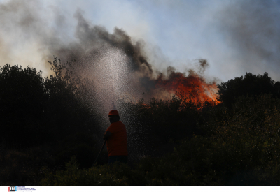 Καλύτερη η εικόνα στην Κερατέα, ανεξέλεγκτη η φωτιά στα Βίλια - Αναμένεται δύσκολη νύχτα (βίντεο)