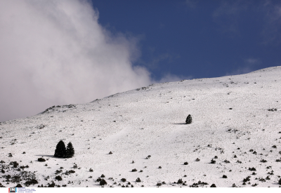 Αρναούτογλου: «Είσοδο» με χιόνια θα κάνει ο Φεβρουάριος - Μεγάλη «βουτιά» θερμοκρασίας