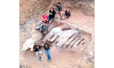 Aνακάλυψε τα λείψανα του μεγαλύτερου δεινοσαύρου που έχει βρεθεί ποτέ... στον κήπο του (εικόνες)