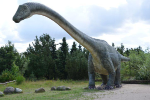 Ανακαλύφθηκε ο αρχαιότερος δεινόσαυρος της Αφρικής
