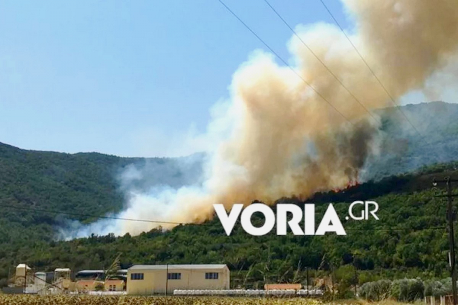 Πυρκαγιά στο Παγγαίο: Συνελήφθη κάτοικος της περιοχής, έκανε αγροτικές εργασίες με φωτιά (βίντεο)