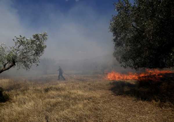 80 πυρκαγιές σε όλη την Ελλάδα, το τελευταίο 24ωρο