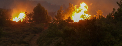 Συνεχίζεται η καταστροφή από τη φωτιά σε δασική έκταση, νότια της Μεγαλόπολης