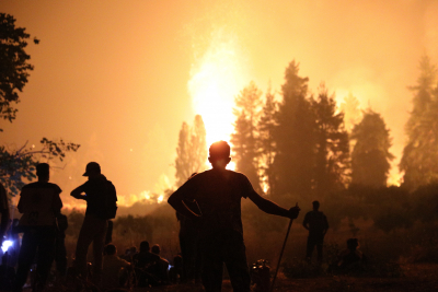 Καμπανάκι επιστημόνων: «Οι δασικές πυρκαγιές οφείλονται και στην εγκατάλειψη της γεωργίας»