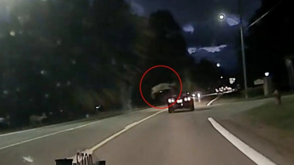 ΗΠΑ: Ελάφι «πετάει» πάνω από κινούμενο όχημα, κάνοντας απίστευτο άλμα (βίντεο)