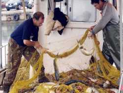 Ανανέωση άδειας αλιείας (μέσω ΚΕΠ)