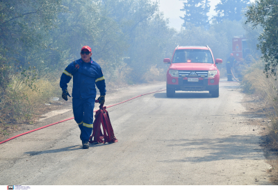 Φωτιά στη Βοιωτία: Μήνυμα από το 112 για εκκένωση του οικισμού Ζάλτσα