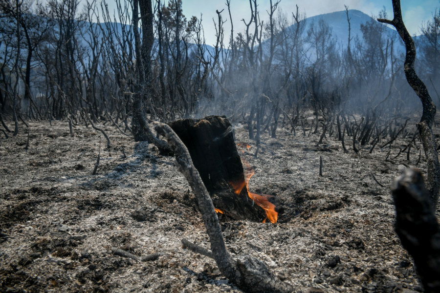 Καλύτερη εικόνα της φωτιάς στα Βίλια: Μεγάλος ο φόβος των αναζωπυρώσεων