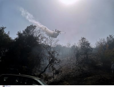 Φωτιά στο Κατακάλι Κορινθίας: Καλύτερη η εικόνα, παραμένουν στο σημείο ενισχυμένες πυροσβεστικές δυνάμεις