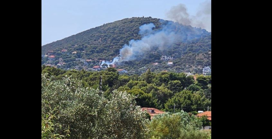 Λήξη συναγερμού: Έσβησε η φωτιά στην Αρτέμιδα