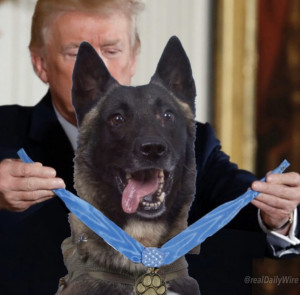 Τραμπ: Εικονική «παρασημοφόρηση» του σκύλου που κυνήγησε τον Αλ Μπαγκνάντι (pic)