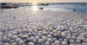 Τα μυστηριώδη «παγωμένα» αυγά που κάλυψαν παραλία της Φινλανδίας