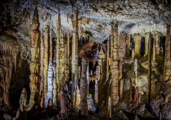 Μικρόβια ηλικίας 50.000 ετών ανακάλυψαν επιστήμονες σε μεξικάνικα σπήλαια