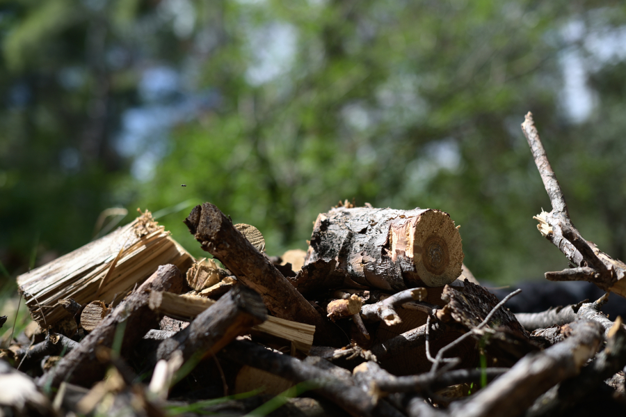 Τραγωδία στις Σέρρες: 60χρονος πέθανε ενώ έκοβε ξύλα, τον καταπλάκωσε το δέντρο | e-sterea.gr