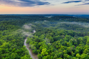 Ο Αμαζόνιος εκπέμπει SOS: Κινδυνεύει το ένα τρίτο του δάσους από την ανθρώπινη δραστηριότητα