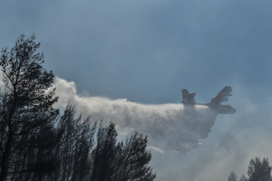 Μεγάλη φωτιά στο Ωραιόκαστρο: Στη μάχη με τις φλόγες η πυροσβεστική (βίντεο)
