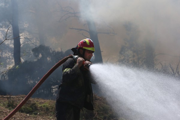 Μάχη με τις φλόγες στην Κασσάνδρα - Κάηκαν σπίτια