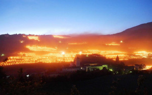 Γιατί καίγονται οι αμπελώνες στην Τοσκάνη της Ιταλίας; (pics)