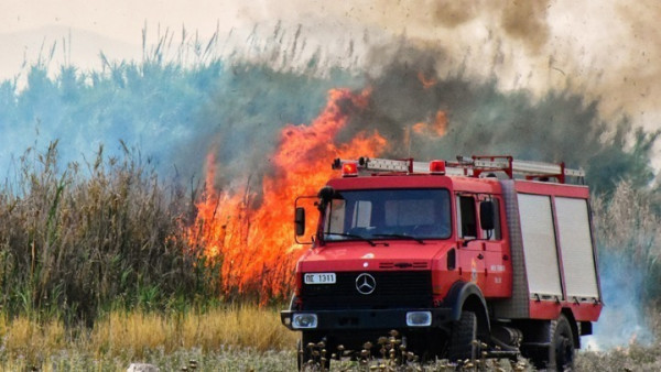 Υπό μερικό έλεγχο η πυρκαγιά στο Καλαμάκι Ζακύνθου
