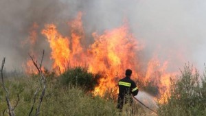 Πυρκαγιά στην περιοχή Σκαδό της Νάξου