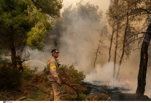 Σέρρες: Φωτιά σε δύσβατη περιοχή έξω από την Ορεινή