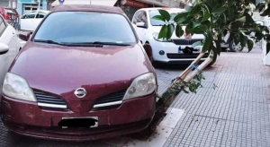 Θεσσαλονίκη: Πάρκαρε το αυτοκίνητό του πάνω σε κορμό δέντρου και τον μήνυσε ο Δήμος