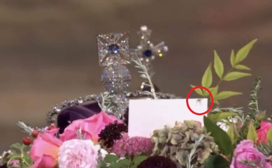 Μια αράχνη στο φέρετρο της βασίλισσας Ελισάβετ - Η πιο viral στιγμή της κηδείας (βίντεο)