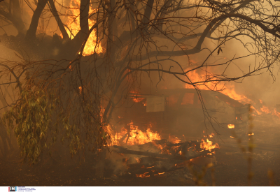 Φωτιά στα Δερβενοχώρια: Ανεξέλεγκτη η πυρκαγιά στη Μάνδρα - Νέα μηνύματα από το 112 για εκκένωση οικισμών