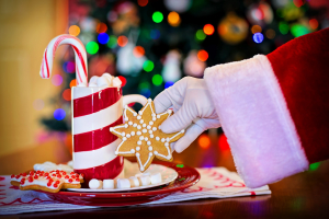 ΗΠΑ: Έστειλε μισαφαγωμένα μπισκότα στην αστυνομία και ζήτησε DNA για να μάθει αν υπάρχει Άγιος Βασίλης