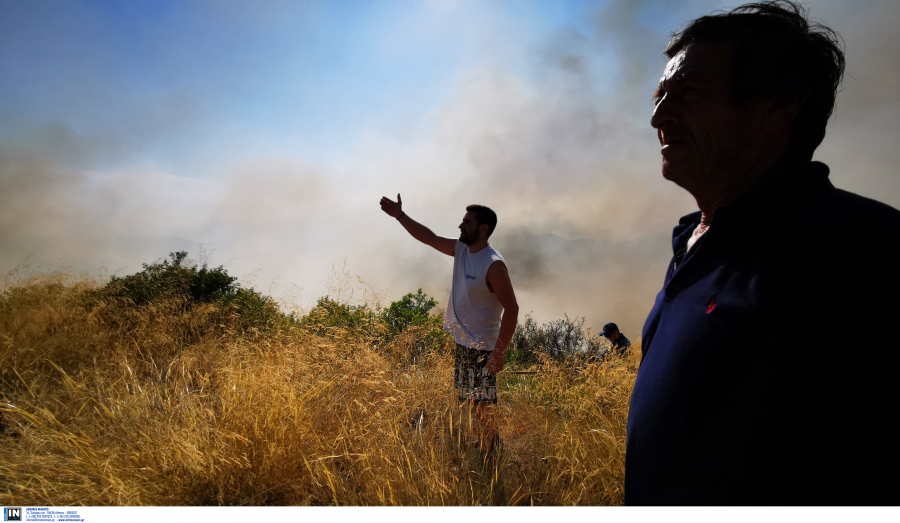 Καλή η εικόνα από τη φωτιά στο Ναύπλιο – Σε ύφεση η πυρκαγιά στη Νέα Αλμυρή Κορινθίας