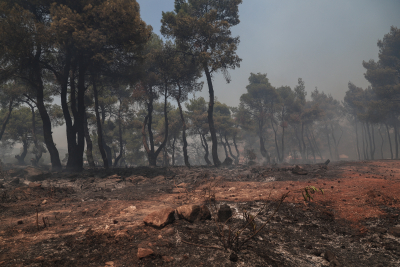 Έκτακτη ενημέρωση Χαρδαλιά για τη φωτιά σε Σταμάτα, Ροδόπολη και Διόνυσο
