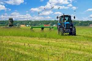 «Καμπανάκι» από ευρωβουλευτές για τη συνεχή υποχώρηση του αγροτικού εισοδήματος
