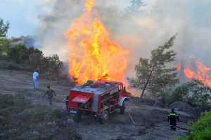 Μεγάλη φωτιά καίει δάσος με πεύκα στη Σκόπελο