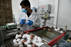Αυγά από χρυσό: Πώς αλλάζουν οι τιμές των προϊόντων όταν βγαίνουν από το καλάθι του νοικοκυριού