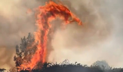Συγκλονιστικό βίντεο από τις πυρκαγιές στη Γαλλία: «Δράκοι φωτιάς» κατακαίνε τη χώρα -Βοήθεια στέλνει η Ευρώπη