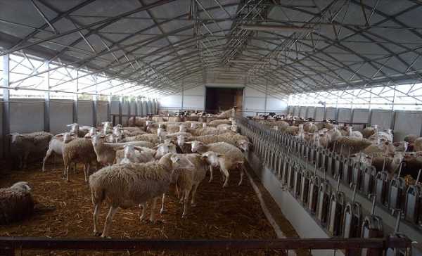 Μέχρι τις 11 Μαρτίου η άδεια κτηνοτροφικών εγκαταστάσεων