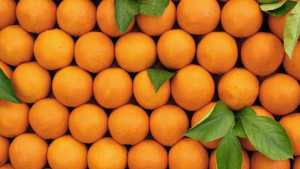 Δήμος Φλώρινας: Δωρεάν διανομή πορτοκαλιών