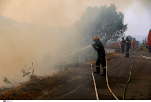 Συνεχίζεται η μάχη σε Γορτυνία και Ανατολική Μάνη με τις φωτιές: Σε κατάσταση έκτακτης ανάγκης 5 περιοχές στην Πελοπόννησο
