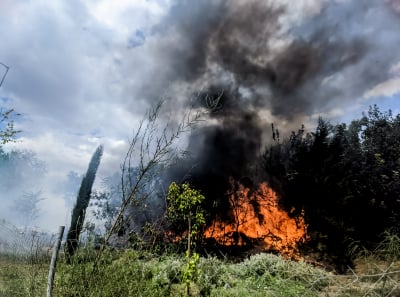 Φωτιά καίει αγροτοδασική έκταση κοντά στις Μυκήνες