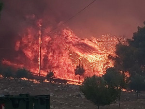 Ολονύχτια μάχη με τις φλόγες στη Ζάκυνθο - Χιλιόμετρα τα μέτωπα της φωτιάς (pics&amp;vid)