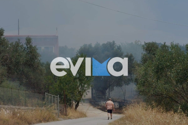 Συναγερμός στην Εύβοια: Μέσα σε λίγη ώρα δύο φωτιές σε Αλιβέρι
