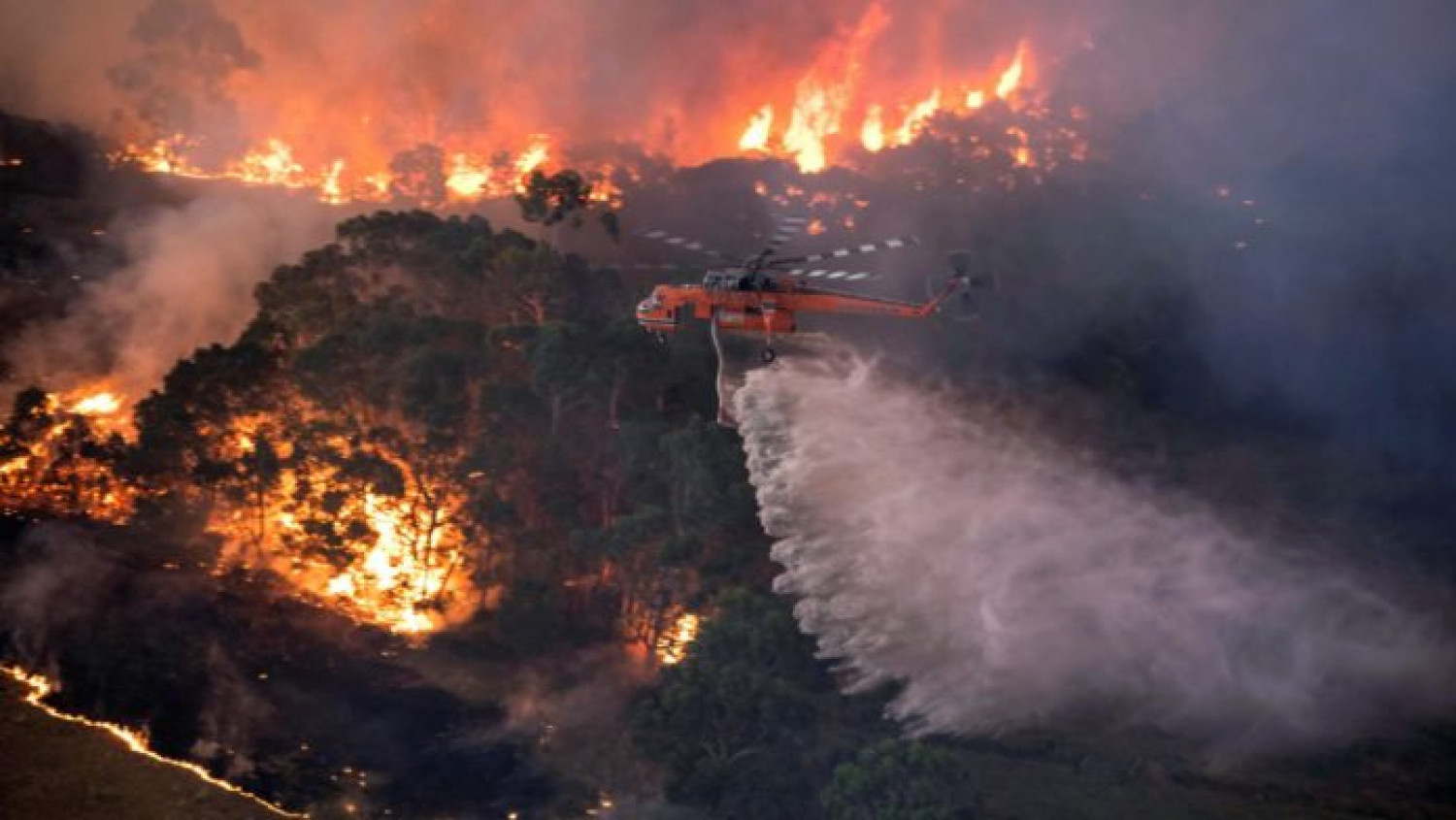 Αχτίδα αισιοδοξίας στην Αυστραλία: Υπό έλεγχο τέθηκε η μεγάλη φωτιά, αναμένονται βροχές