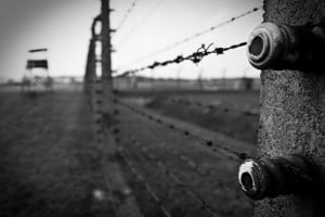 Συγκλονιστικές μαρτυρίες απογόνων Ναζί και δωσιλόγων στην Ελλάδα 74 χρόνια μετά