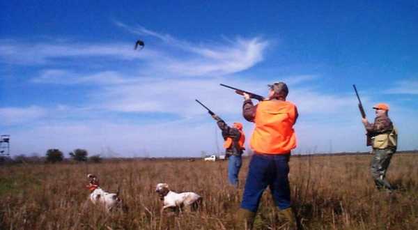 Απαγόρευση κυνηγιού για 3 χρόνια σε περιοχή στο Ρέθυμνο