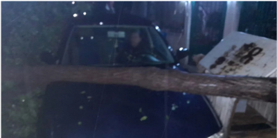 Κρήτη: Κεραυνός χτύπησε δέντρο που καταπλάκωσε αυτοκίνητο με την οδηγό στο τιμόνι
