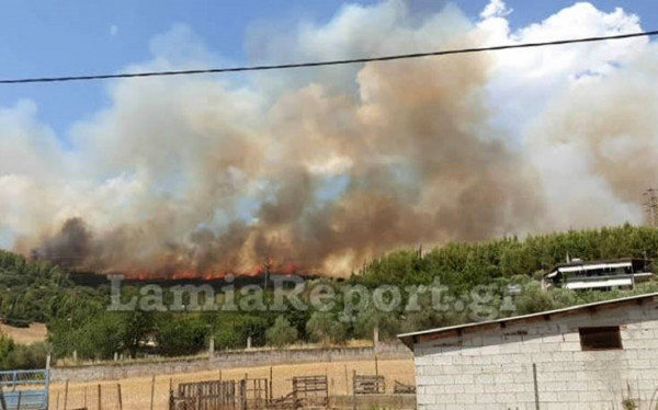 Φωτιά σε δασική έκταση στη Φθιώτιδα - Κινδυνεύουν σπίτια