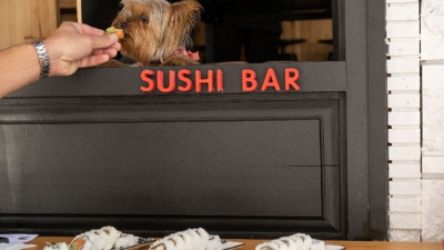Εστιατόριο στη Θεσσαλονίκη σερβίρει σούσι για... σκύλους