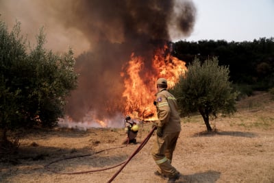 Θεσσαλία: Συναγερμός στην Πυροσβεστική - Τέσσερα μέτωπα σε Ελασσόνα, Καρδίτσα, Τρίκαλα και Αλμυρό